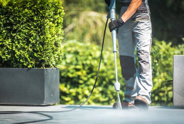Best Graffiti Removal  in Hackleburg, AL