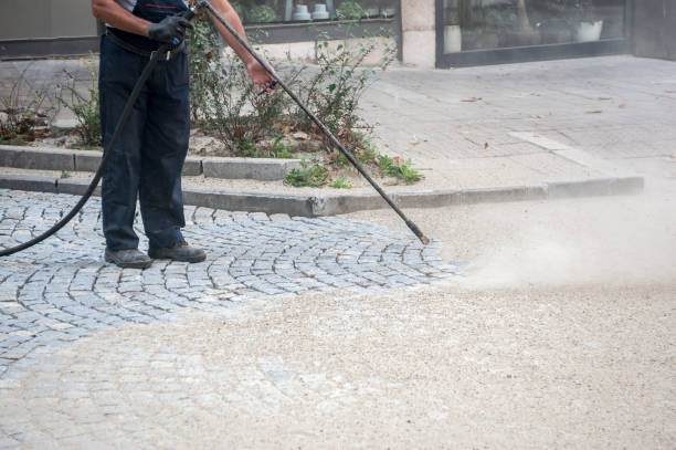 Best Gutter Cleaning  in Hackleburg, AL